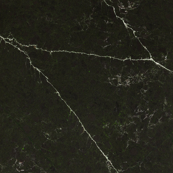 Forest Magnolia Polished Quartz