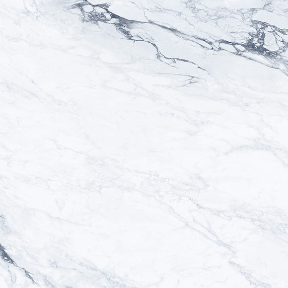 Bernini Gloss Porcelain