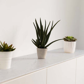 ATTICO POLISHED QUARTZ