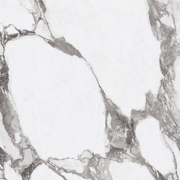 MASSIMO ARABESCATO HIGH GLOSS PORCELAIN,,Lamar,www.work-tops.com