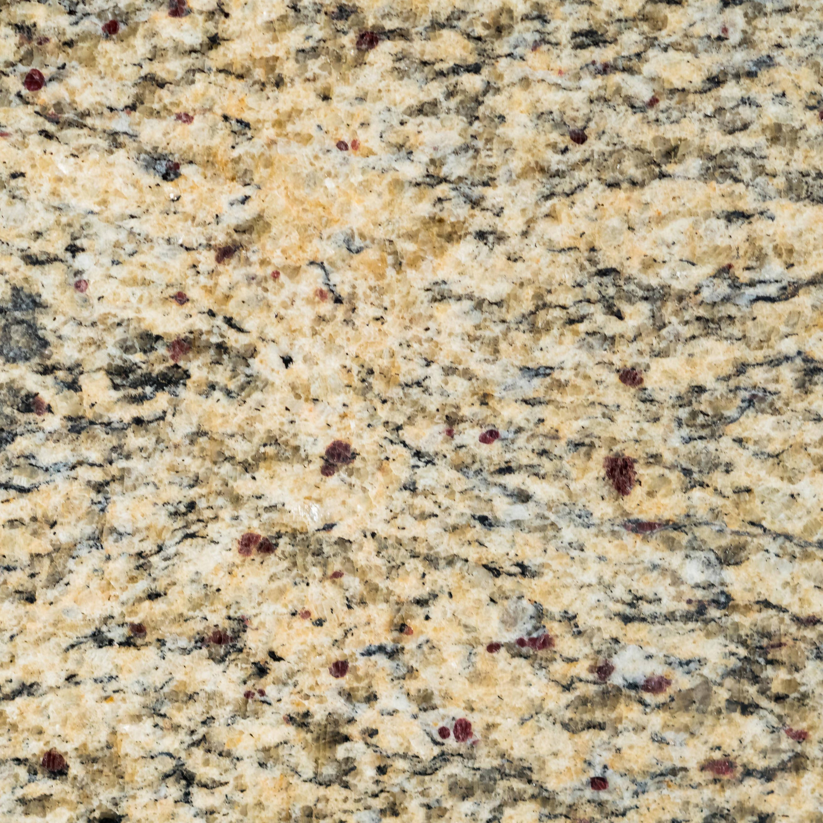 Santa Cecilia Granite St Cecilia Light Granite Countertops Suppliers,
