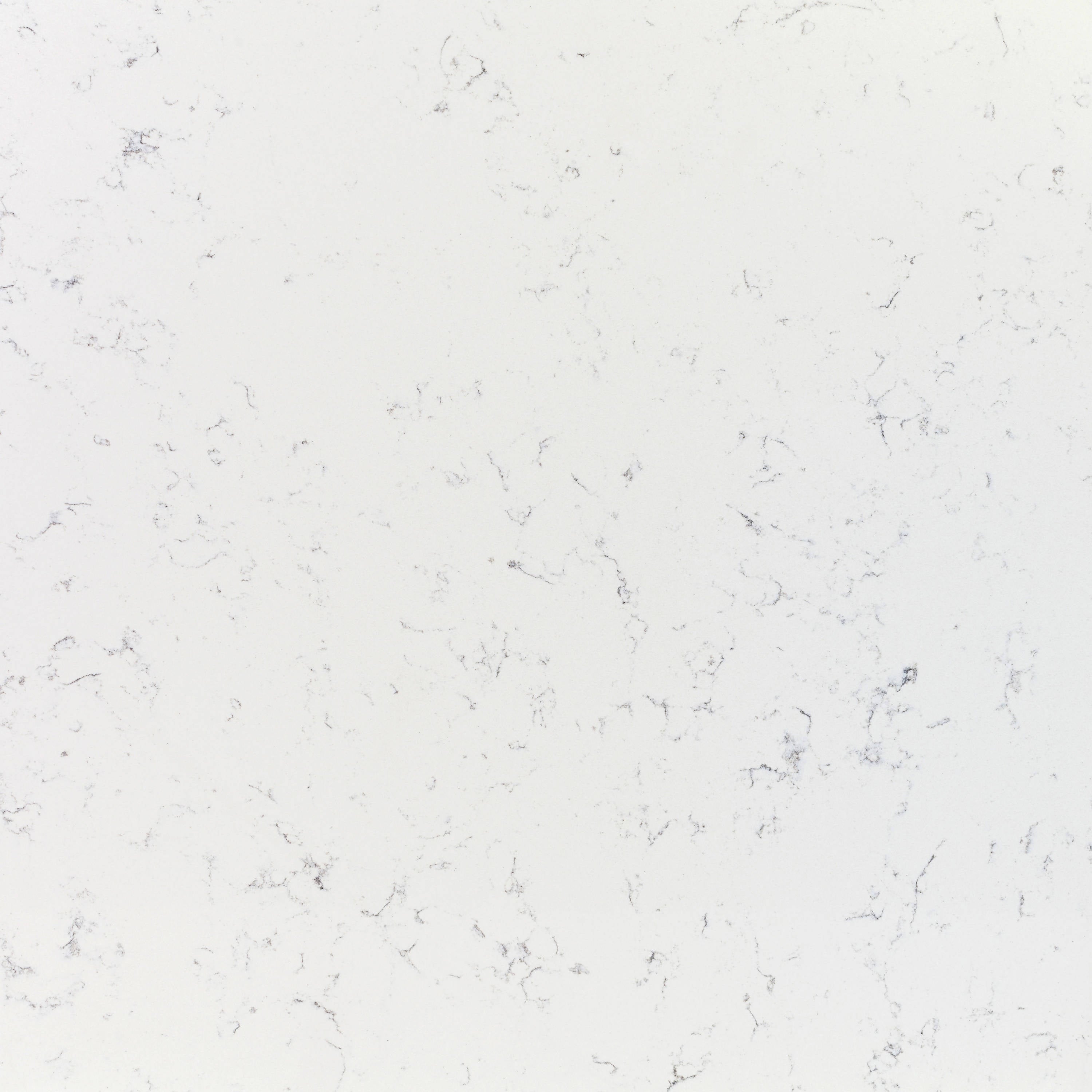 Veined Bernini Quartz White Quartz - Main Image