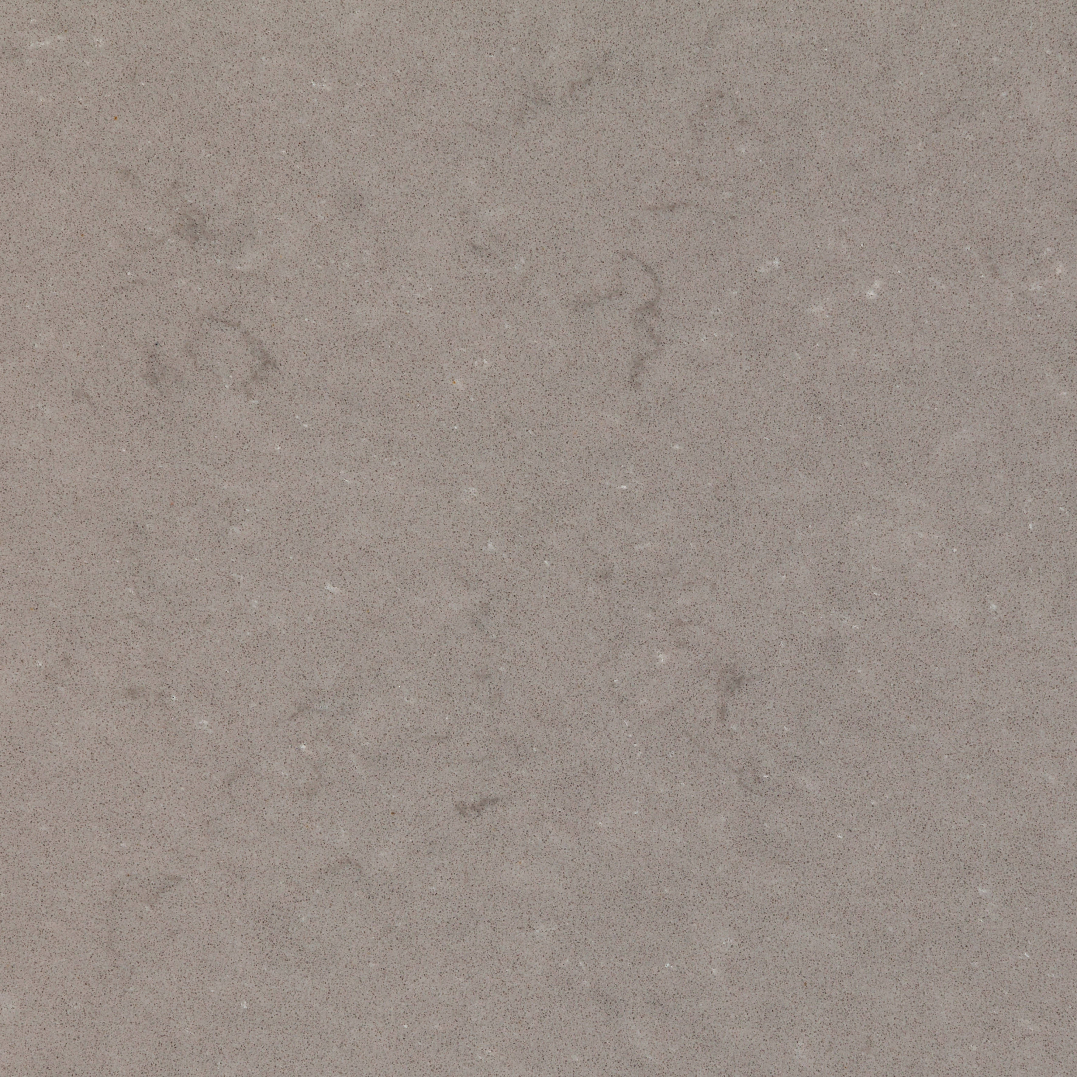 Fossil Nautilus Quartz available in UK| Dark grey quartz www