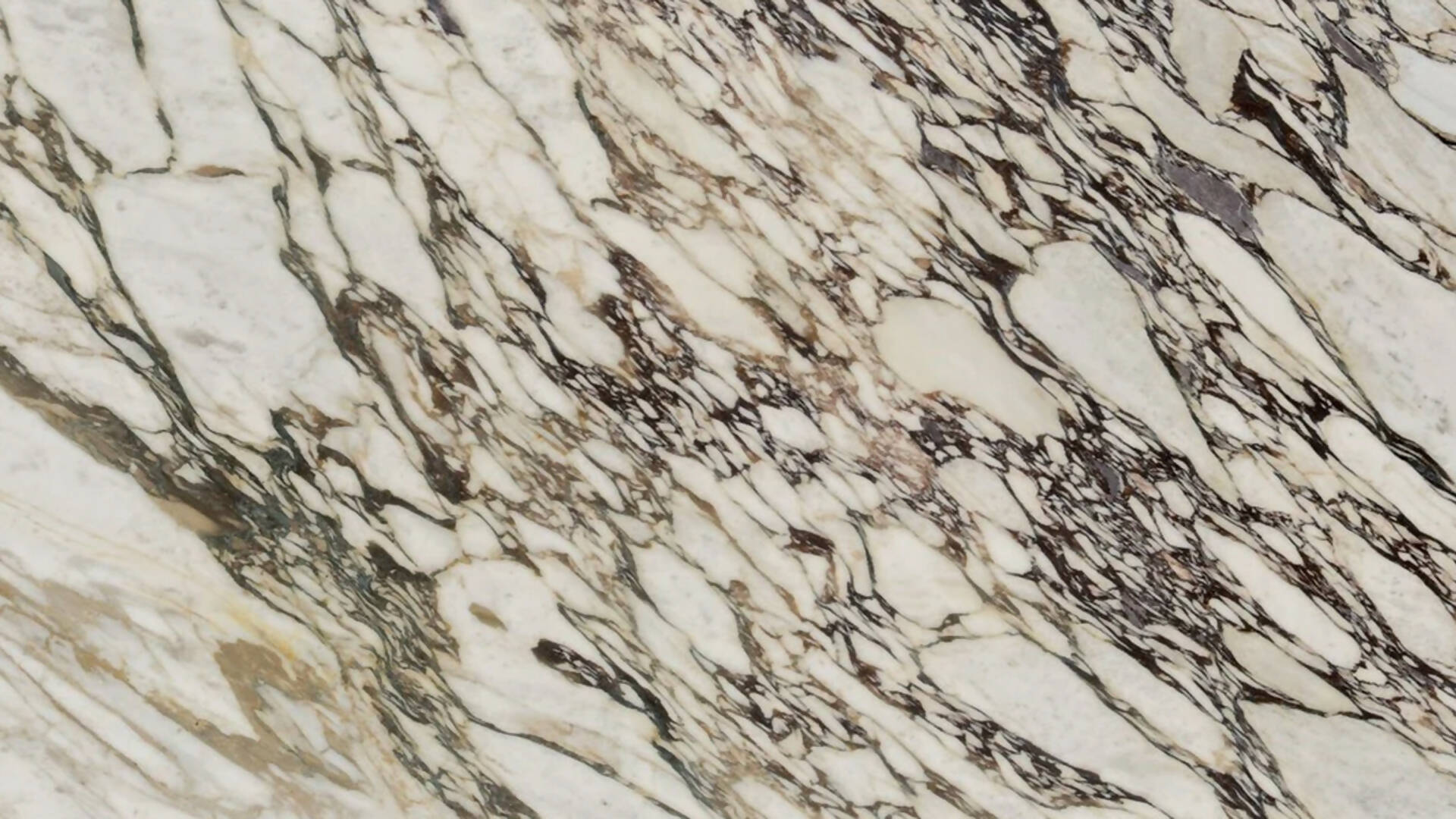CALACATTA VIOLA EXTRA BOOKMATCH MARBLE,Marble,Develli,www.work-tops.com