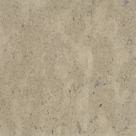 SINAI PEARL LIMESTONE,Limestone,Brachot,www.work-tops.com