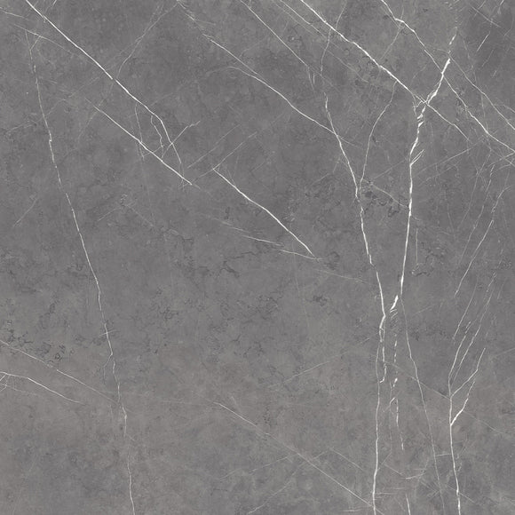 Pietra Grey Natural Porcelain