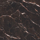 Saint Laurent Natural Porcelain