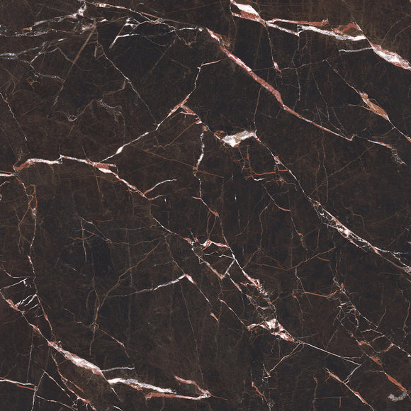 Saint Laurent Natural Porcelain