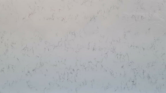 COMPAC UNIQUE CARRARA QUARTZ,Quartz,Marble Granite Limestone Warehouse,www.work-tops.com