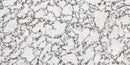 Viola Polished-2
