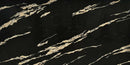 Titan Gold-2