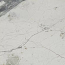 BRECCIA CAPRAIA HONED MARBLE-9