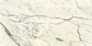 STATUARIO POLISHED MARBLE-4