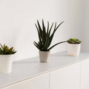 ATTICO POLISHED QUARTZ,DIY_Worktops,Athena Surfaces,www.work-tops.com