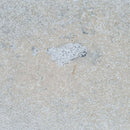 ATAIJA BLUE BASTILDE LIMESTONE,Limestone,Marble Granite Limestone Warehouse,www.work-tops.com