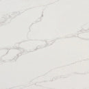 CALACATTA FANCY 106 POLISHED QUARTZ
Success
