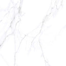 COLORADO WHITE HIGH GLOSS PORCELAIN,Porcelain,Lamar Ceramics Limited,www.work-tops.com