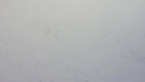 CARRARA WHITE QUARTZ,Quartz,Marble Granite Limestone Warehouse,www.work-tops.com