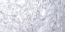 ARABESCATO VERSILIA HONED MARBLE-4