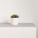 GREY MIRROR POLISHED QUARTZ,DIY_Worktops,LQS,www.work-tops.com