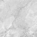BIANCO ECLIPSE HONED PORCELAIN-1
