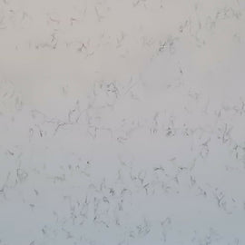 COMPAC UNIQUE CARRARA QUARTZ,Quartz,Marble Granite Limestone Warehouse,www.work-tops.com