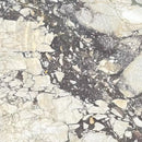 CALACATTA VIOLA MONET HONED MARBLE-1