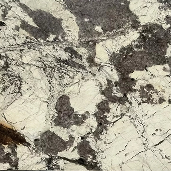 PATAGONIA NOIR POLISHED QUARTZITE