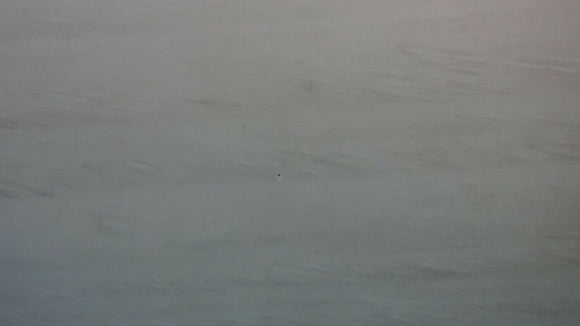 MOCA CREME LIMESTONE,Limestone,Marble Granite Limestone Warehouse,www.work-tops.com