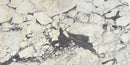 CALACATTA VIOLA MONET HONED MARBLE-4