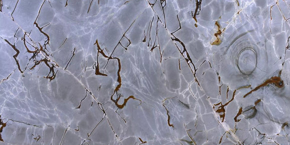 BLUE ROMA POLISHED QUARTZITE