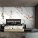 ROSA BIANCO MATT PORCELAIN,,Lamar,www.work-tops.com