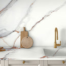 ROSA BIANCO MATT PORCELAIN,,Lamar,www.work-tops.com
