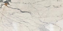 STATUARIO PAONAZZO POLISHED MARBLE-2