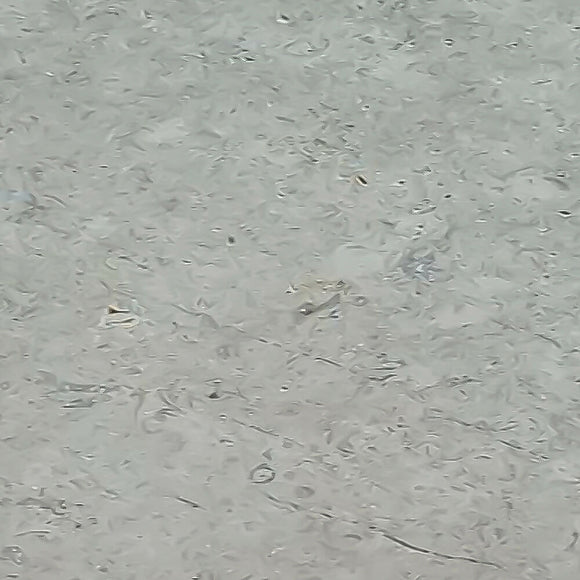 SINAI PEARL LIMESTONE,Limestone,Marble Granite Limestone Warehouse,www.work-tops.com