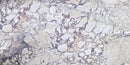CALACATTA VIOLA MONET HONED MARBLE-6