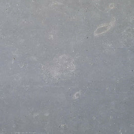 SAN VICENTE LIMESTONE,Limestone,Marble Granite Limestone Warehouse,www.work-tops.com