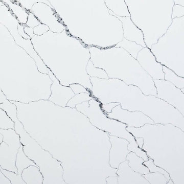 Calacatta Statuario_