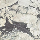 CALACATTA VIOLA MONET HONED MARBLE-3