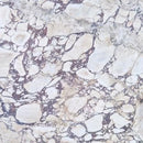CALACATTA VIOLA MONET HONED MARBLE-7