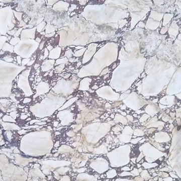 CALACATTA VIOLA MONET HONED MARBLE