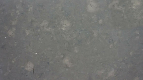 PIEDRA DE BURGOS LIMESTONE,Limestone,Marble Granite Limestone Warehouse,www.work-tops.com