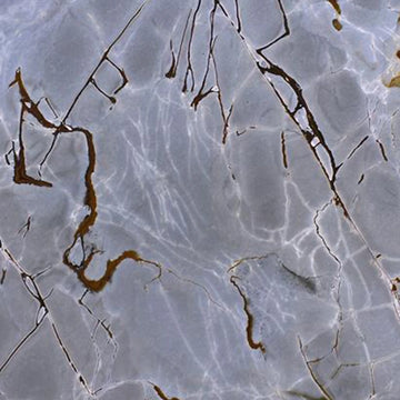 BLUE ROMA POLISHED QUARTZITE