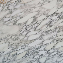 Arabescato Vagli MARBLE 2_