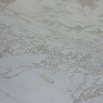 Bianco Rino 2_