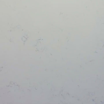 CARRARA WHITE QUARTZ,Quartz,Marble Granite Limestone Warehouse,www.work-tops.com