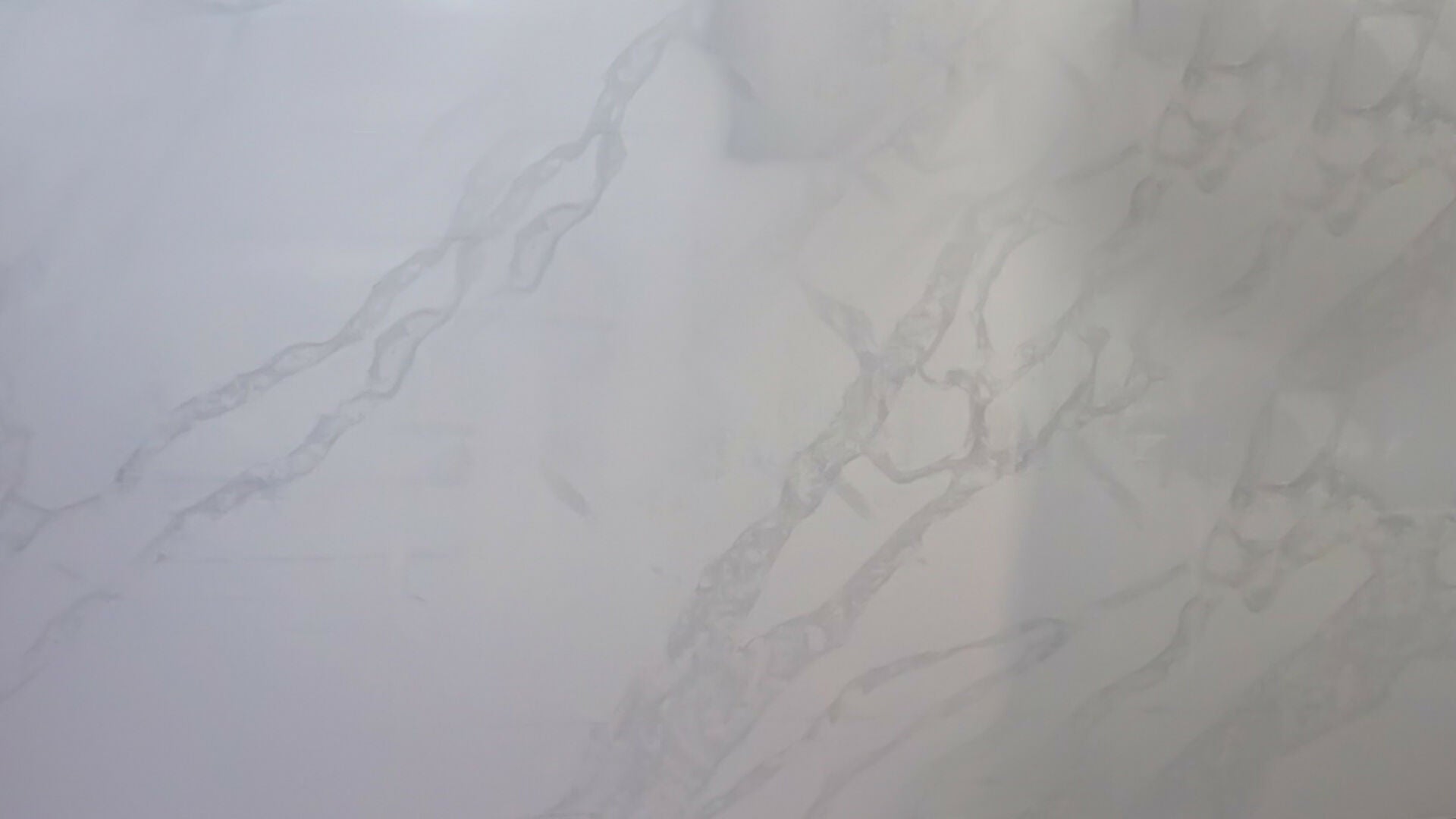 New Calacatta SP Quartz (20mm) Self Politely Presenting |UK