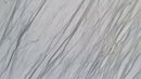 Calacatta Cardellino MARBLE S