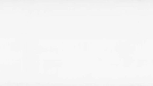 BQS Quartz 20mm Super White Plus S