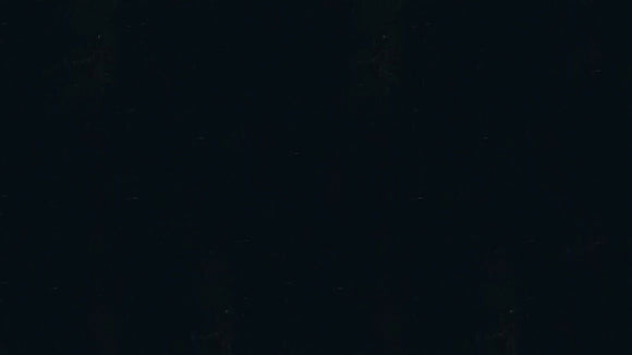 Belgian Black MARBLE S